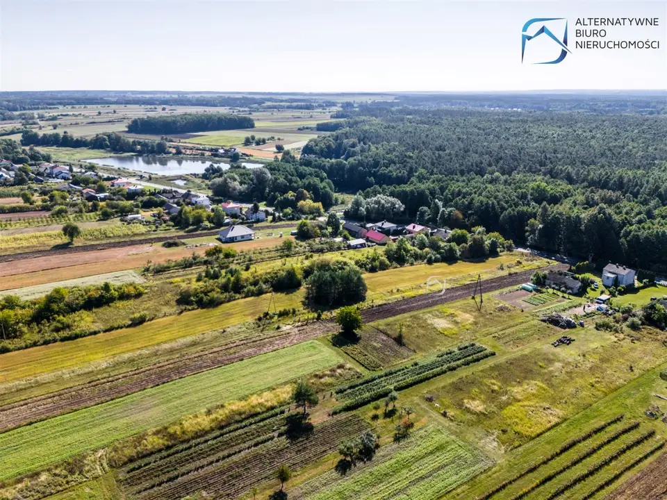 Zdjęcie 17