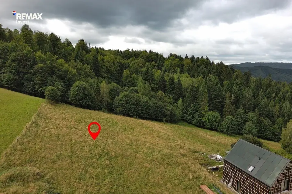 Zdjęcie 8