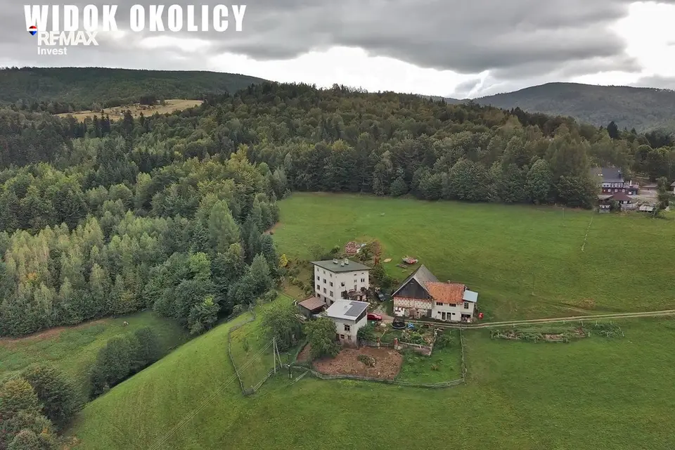 Zdjęcie 10