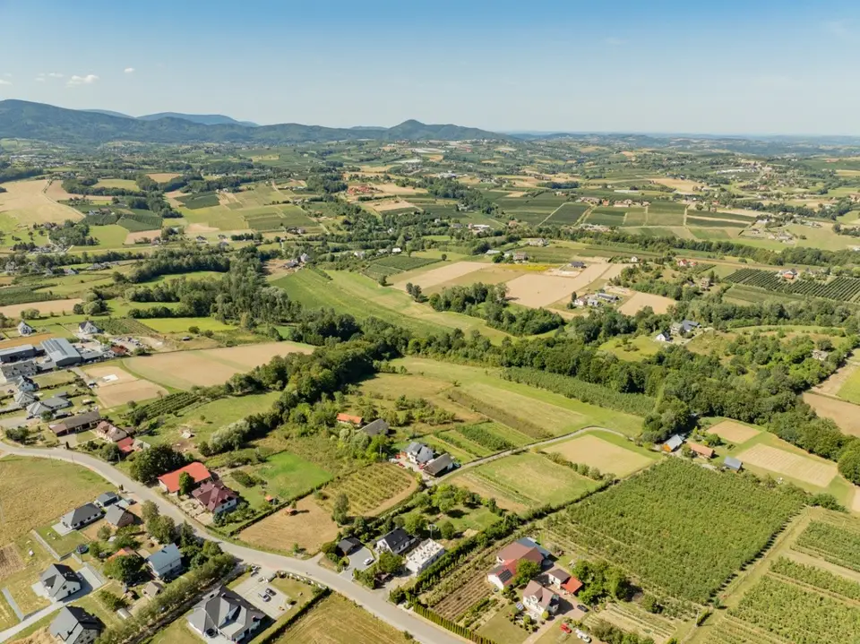 Zdjęcie 19