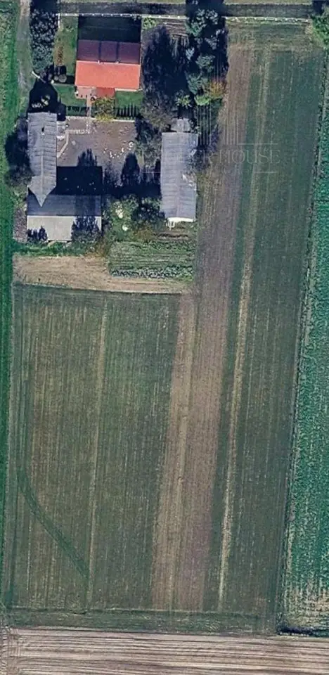 Zdjęcie 2