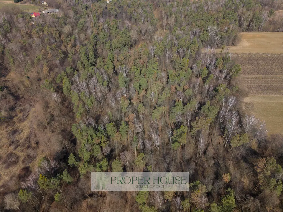 Działka leśna 6 900 m², Rogów