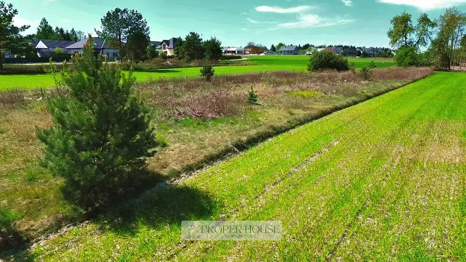 Zdjęcie 8