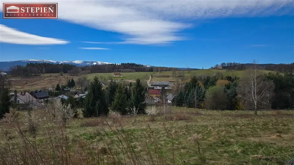Zdjęcie 3