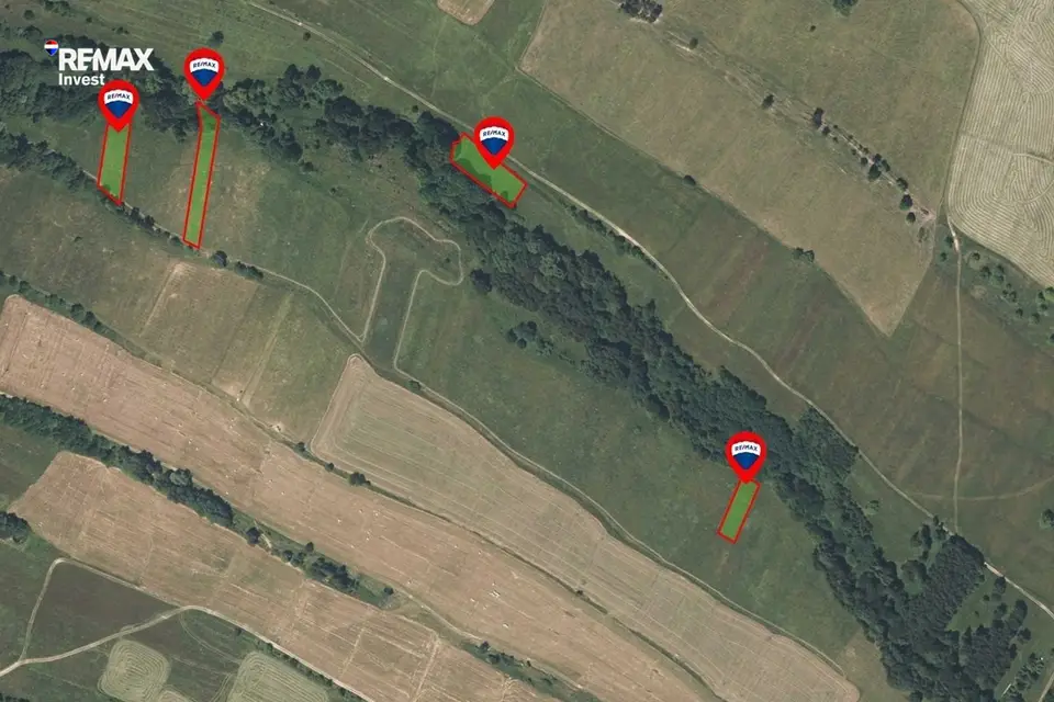 Zdjęcie 12