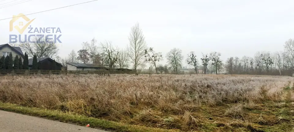 Zdjęcie 2