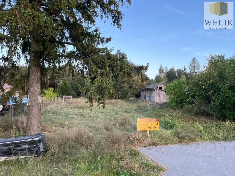 Zdjęcie 3