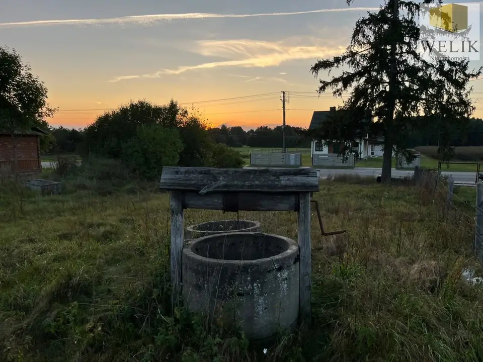 Zdjęcie 8