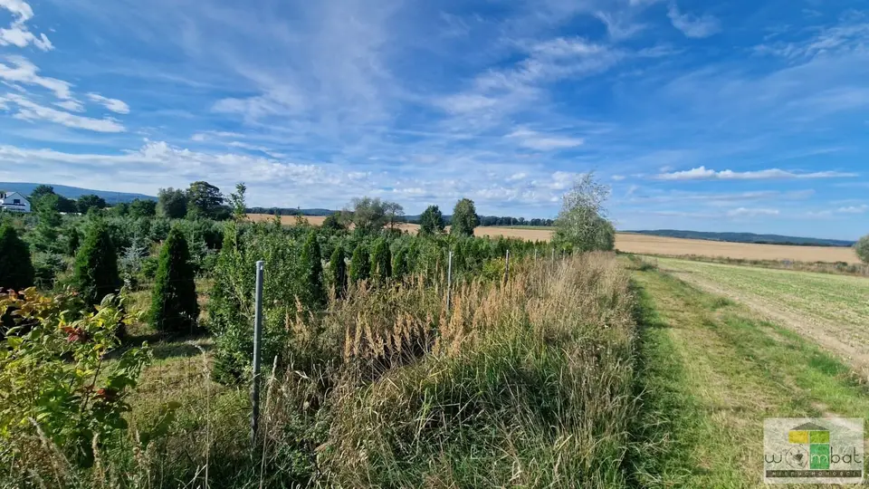Zdjęcie 2