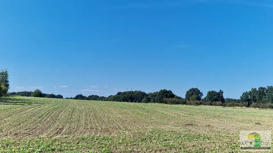 Zdjęcie 4