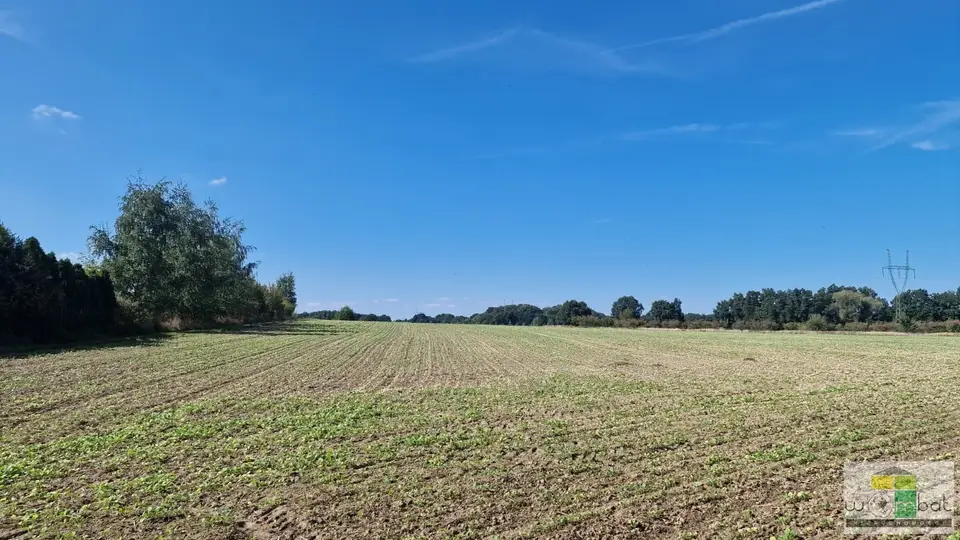 Zdjęcie 5