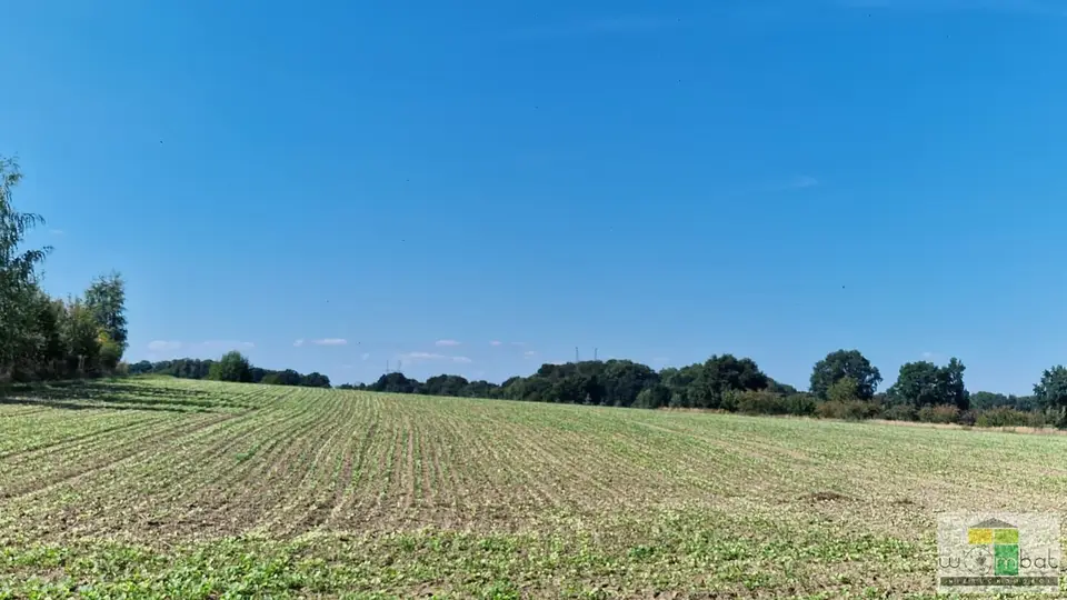 Zdjęcie 6