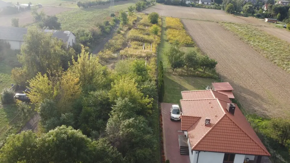 Zdjęcie 2
