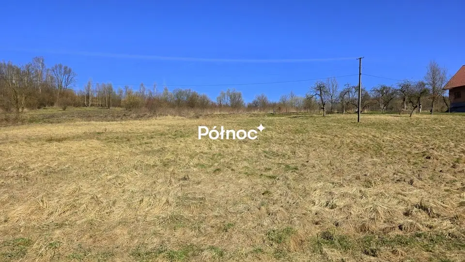 Zdjęcie 2