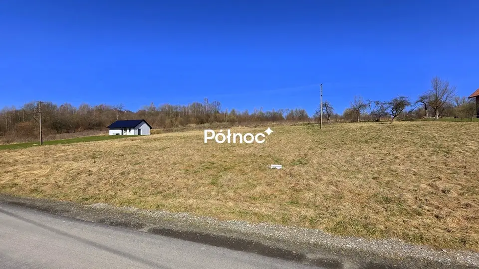 Zdjęcie 3