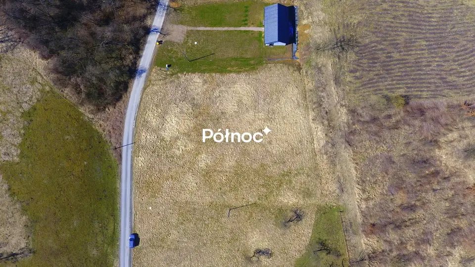 Zdjęcie 4