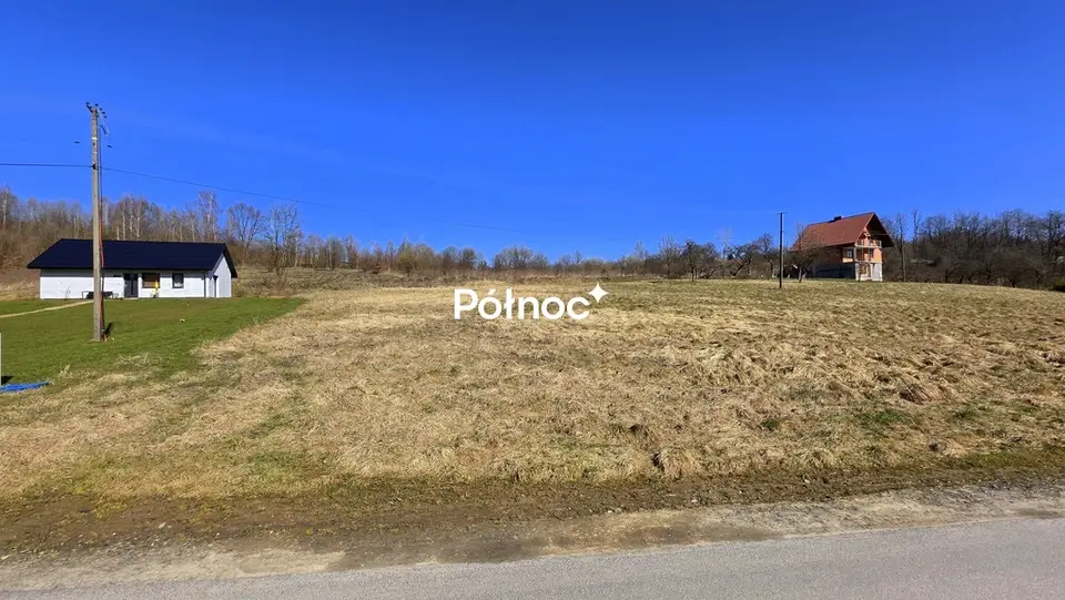 Zdjęcie 7