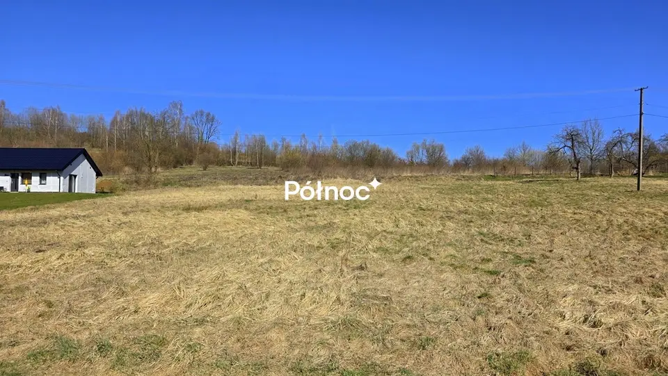 Zdjęcie 8