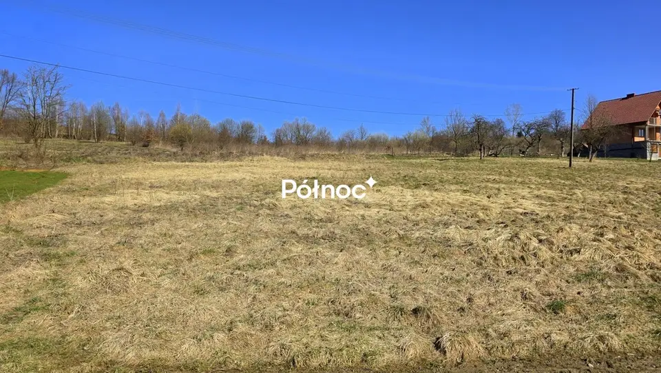 Zdjęcie 3