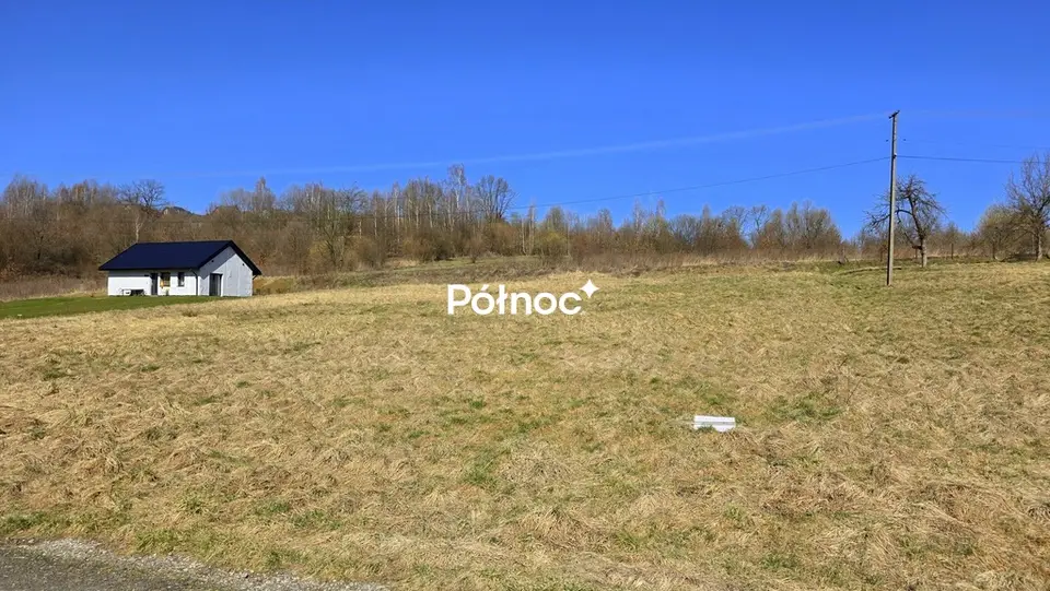 Zdjęcie 4