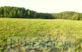 Działka budowlana 1 631 m², Gręzów