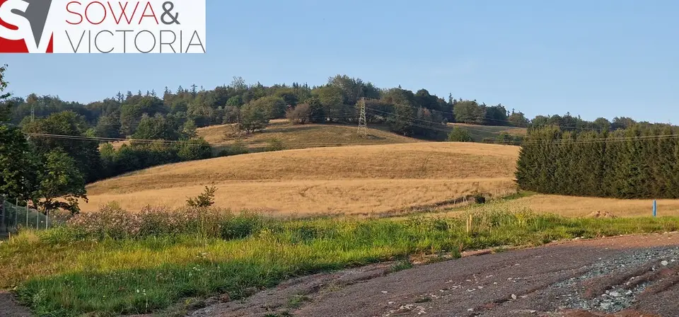 Zdjęcie 6