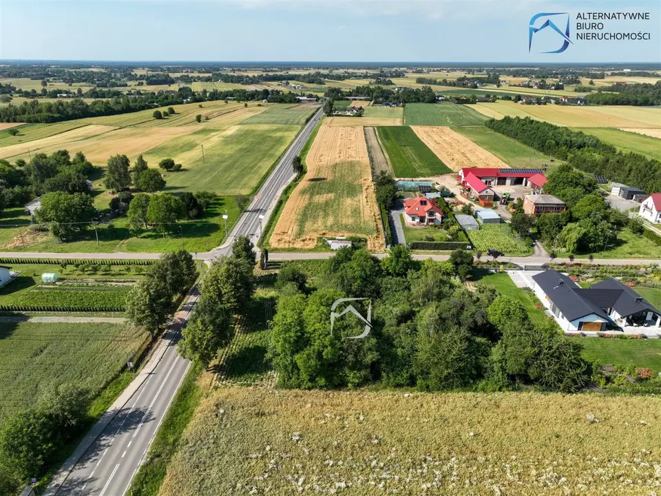 Zdjęcie 12