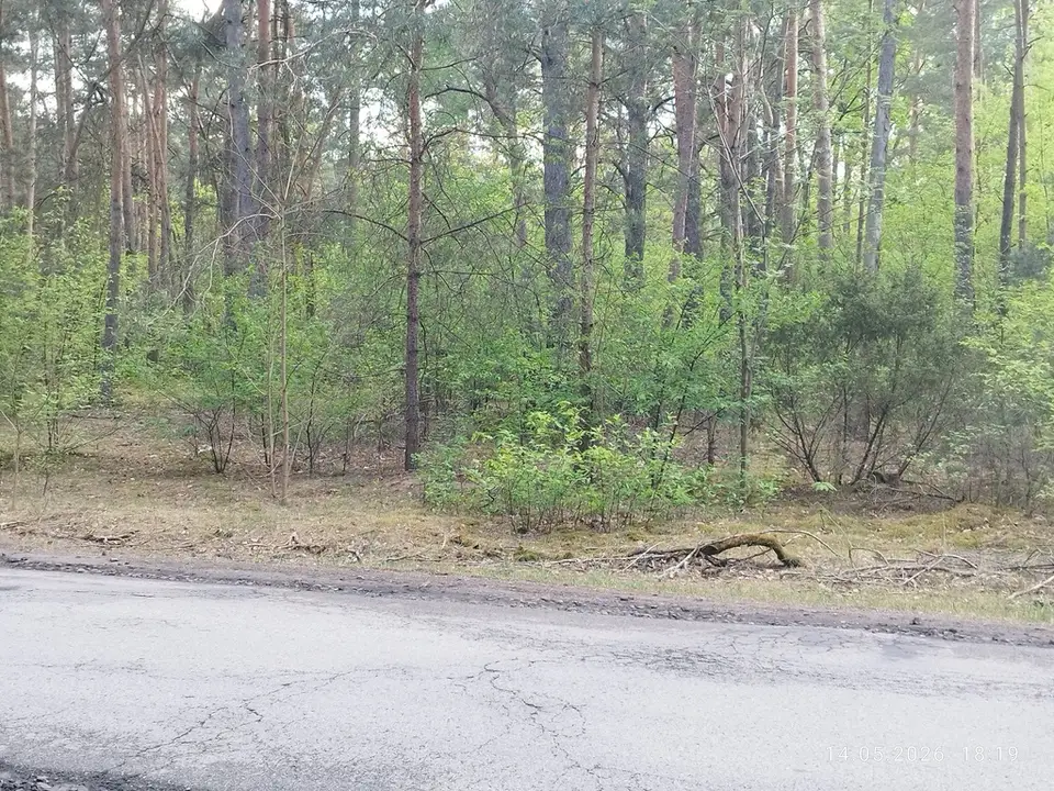 Zdjęcie 5