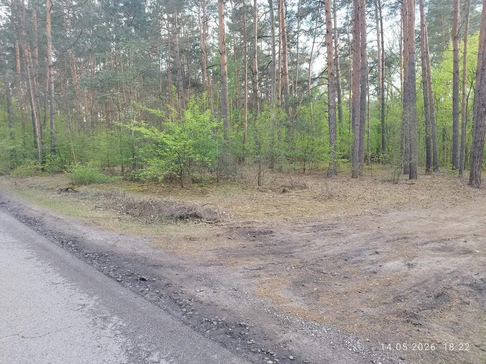 Zdjęcie 7