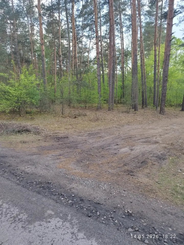 Zdjęcie 8