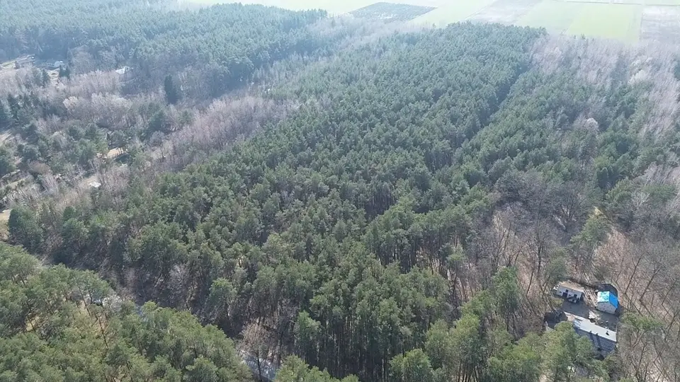 Zdjęcie 11