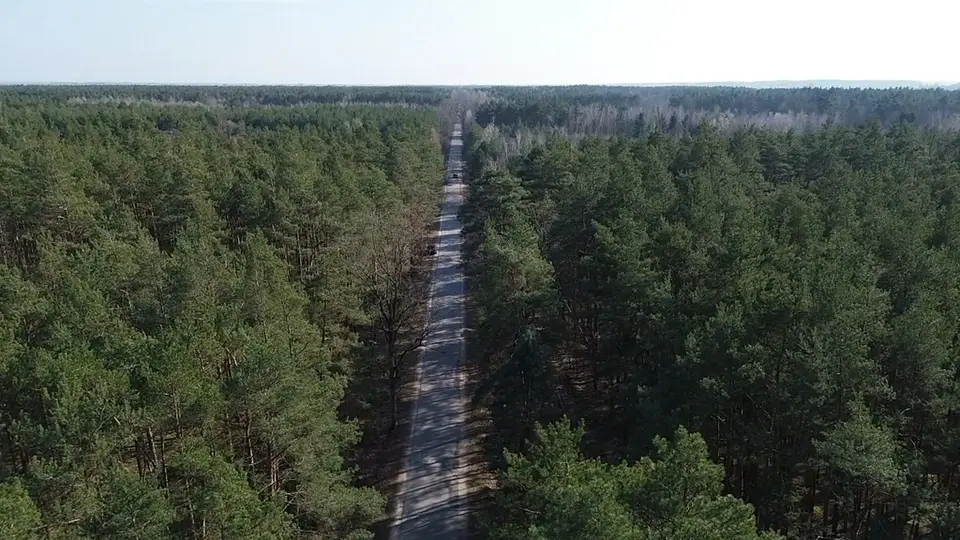 Zdjęcie 12