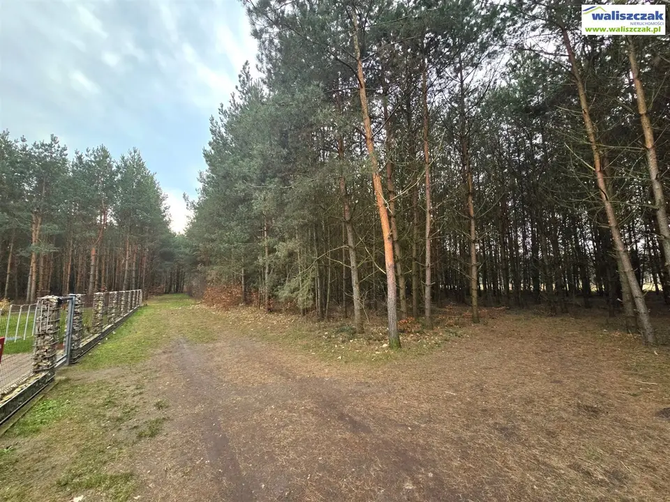 Zdjęcie 5