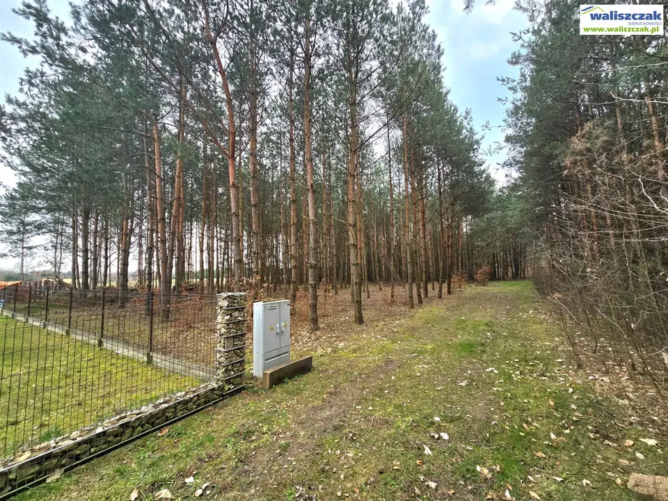 Zdjęcie 3