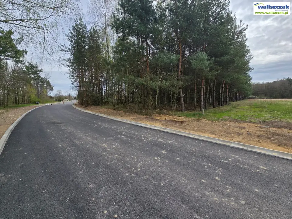 Zdjęcie 5