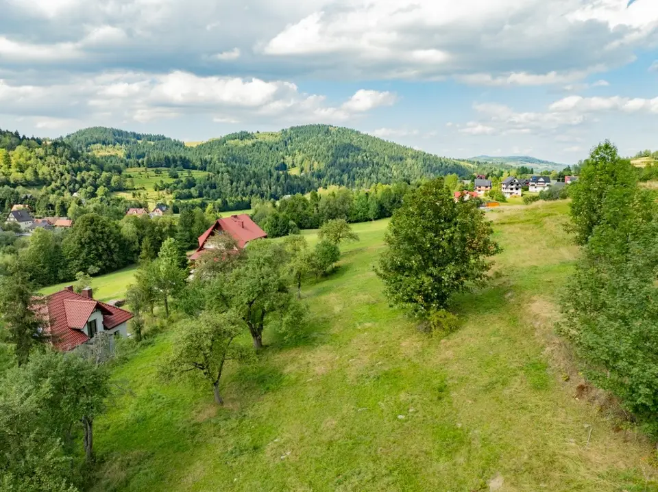 Zdjęcie 13