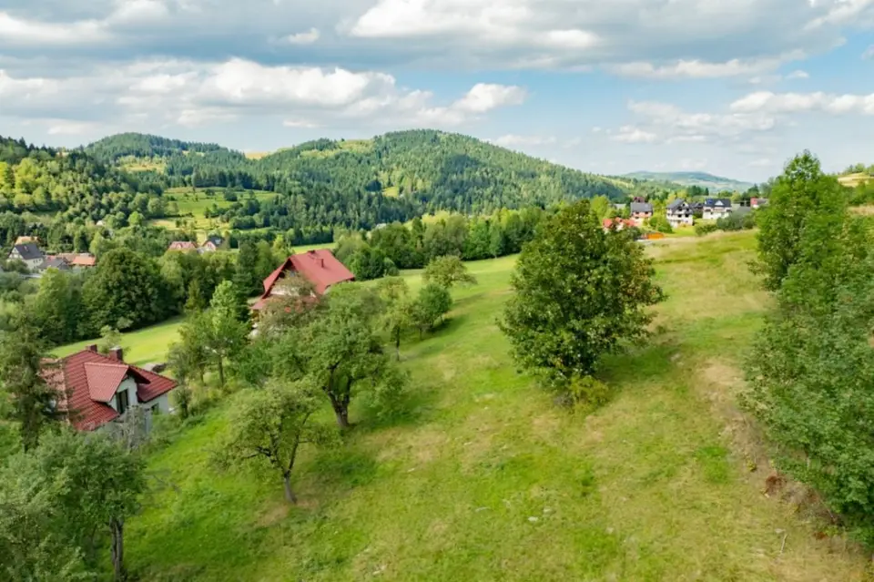 Zdjęcie 15