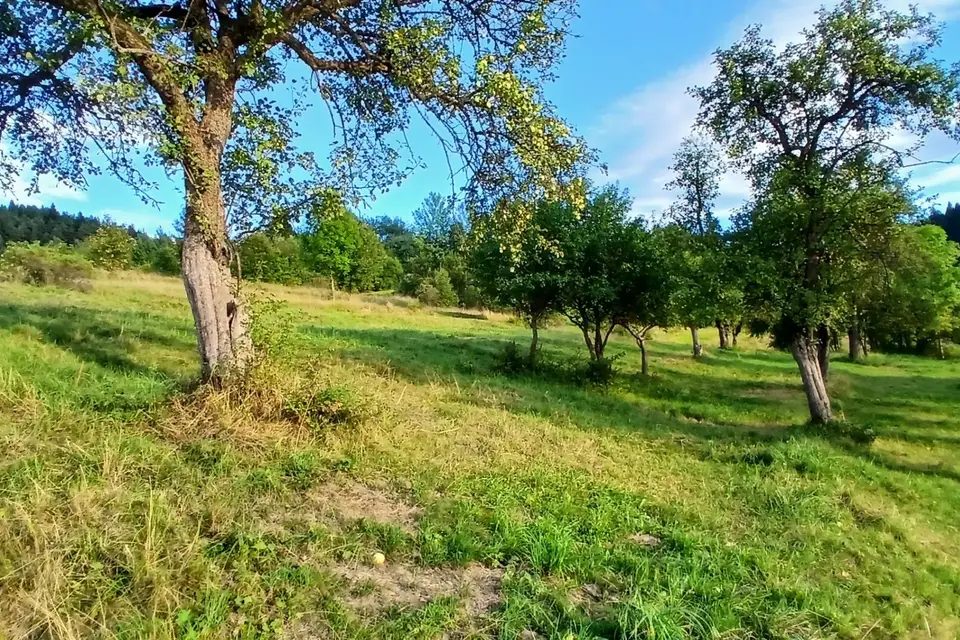 Zdjęcie 18
