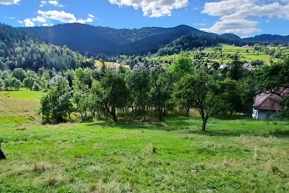 Zdjęcie 19