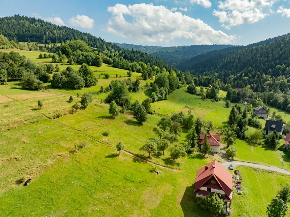Zdjęcie 20