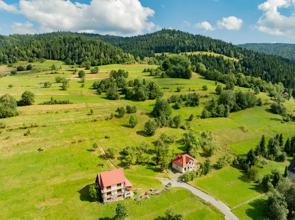 Zdjęcie 21