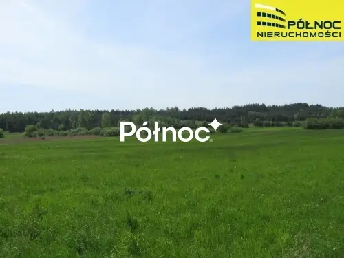 Zdjęcie 2