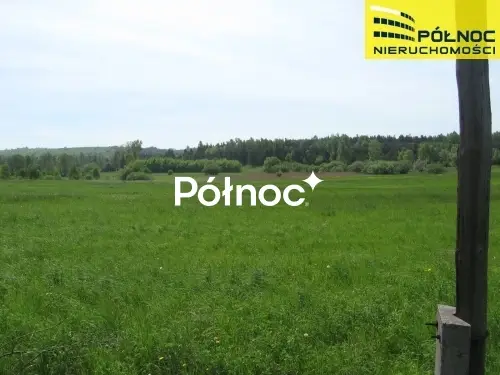 Zdjęcie 3
