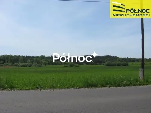 Zdjęcie 4