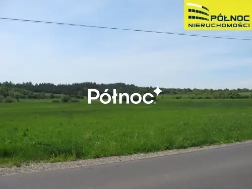 Zdjęcie 5