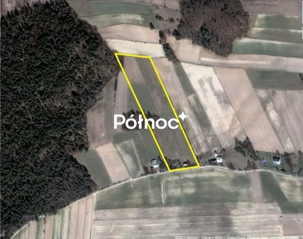 Zdjęcie 4