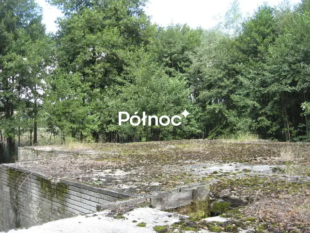 Zdjęcie 2