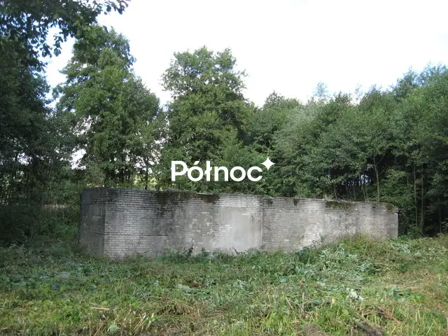Zdjęcie 3