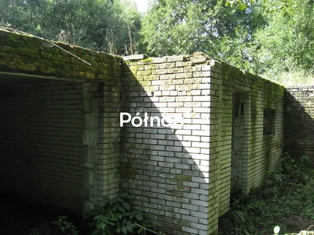 Zdjęcie 4