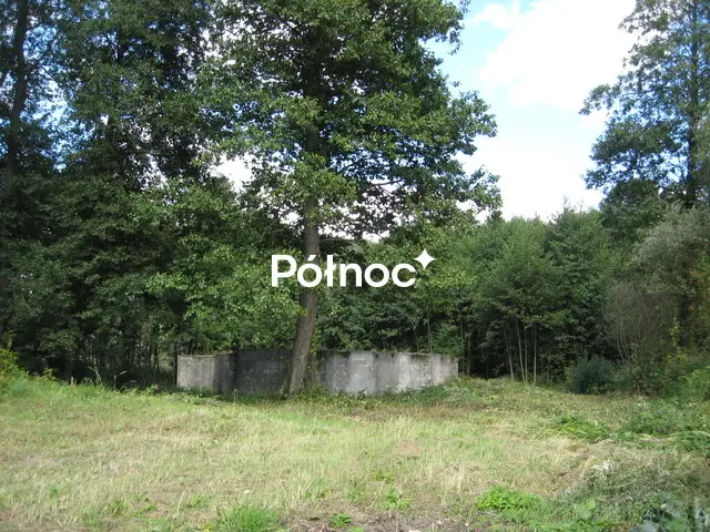 Zdjęcie 5